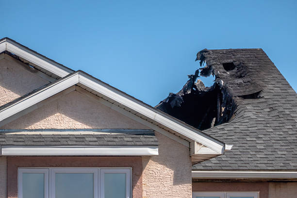 Top rated local Odor Removal specialists in Joint Base Mdl, NJ